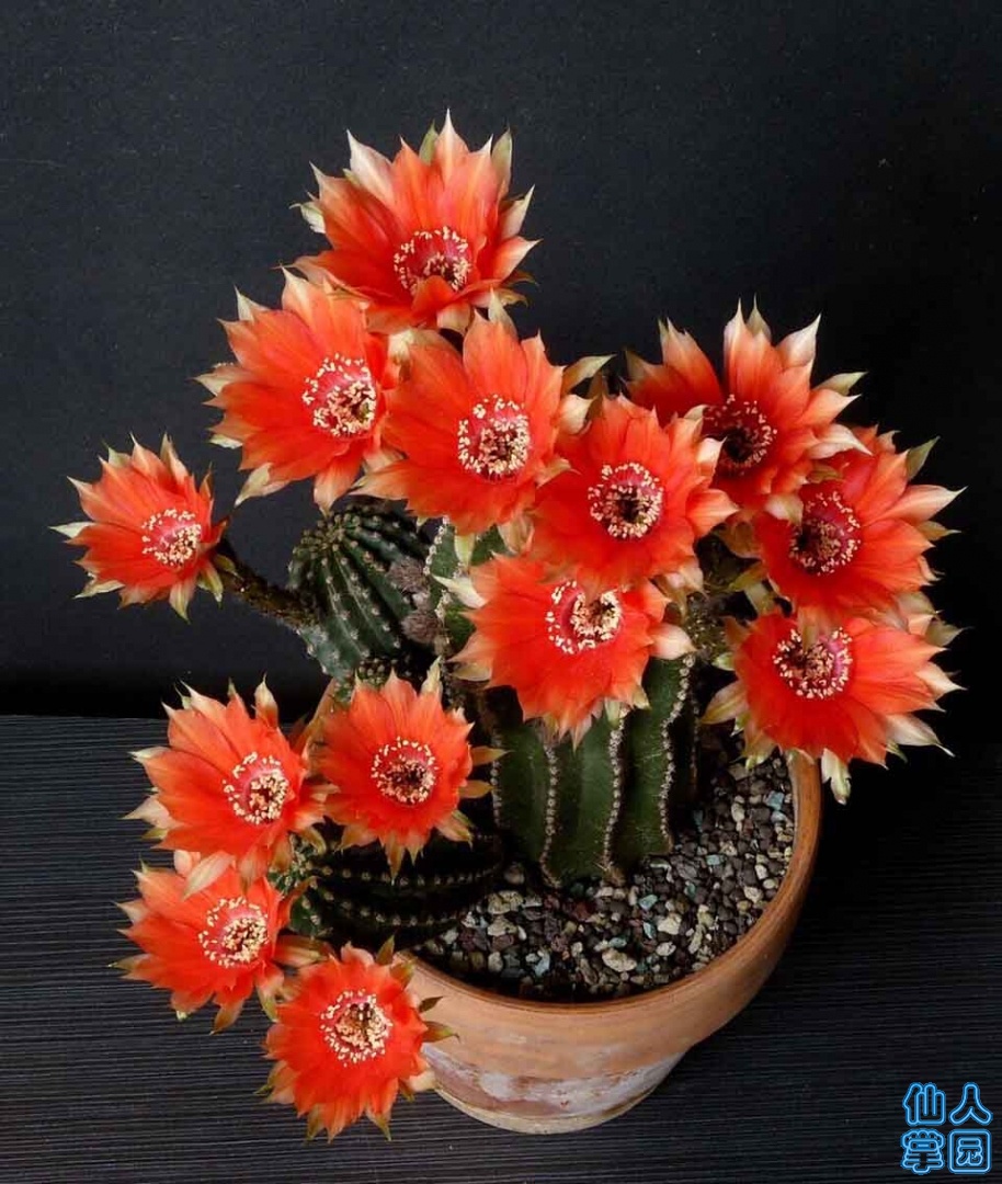 QQͼƬ20190916205536.jpg