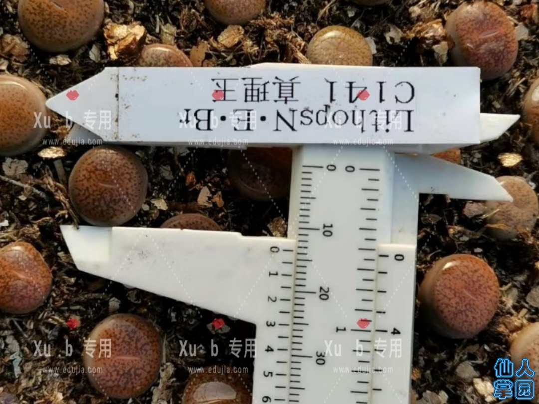 a1576807944056.jpg