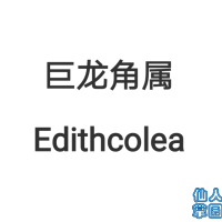  Edithcolea