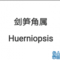  HUerniopsis